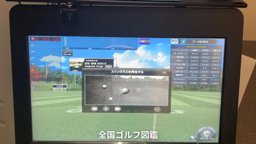 スイングパス　